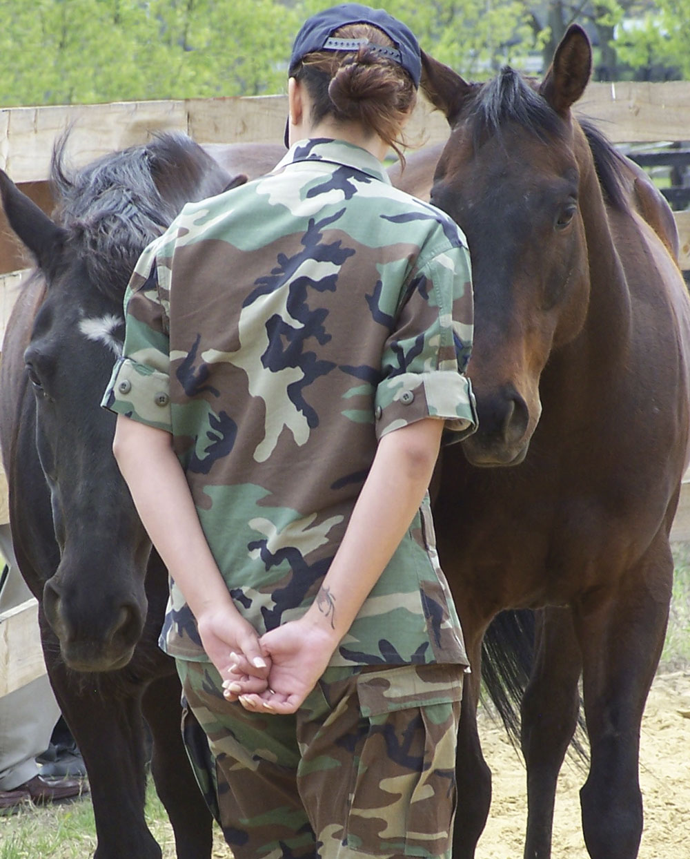 Woman in fatigues working with therapy horses