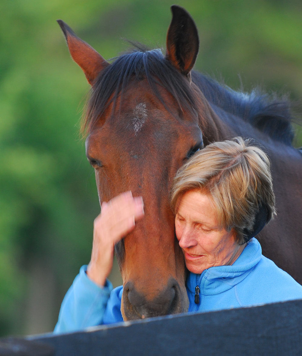 client-horse-hug